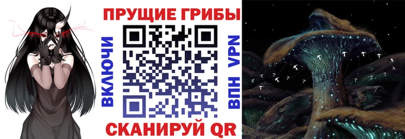 где найти Ижевск Галлюциногенные грибы мицелий