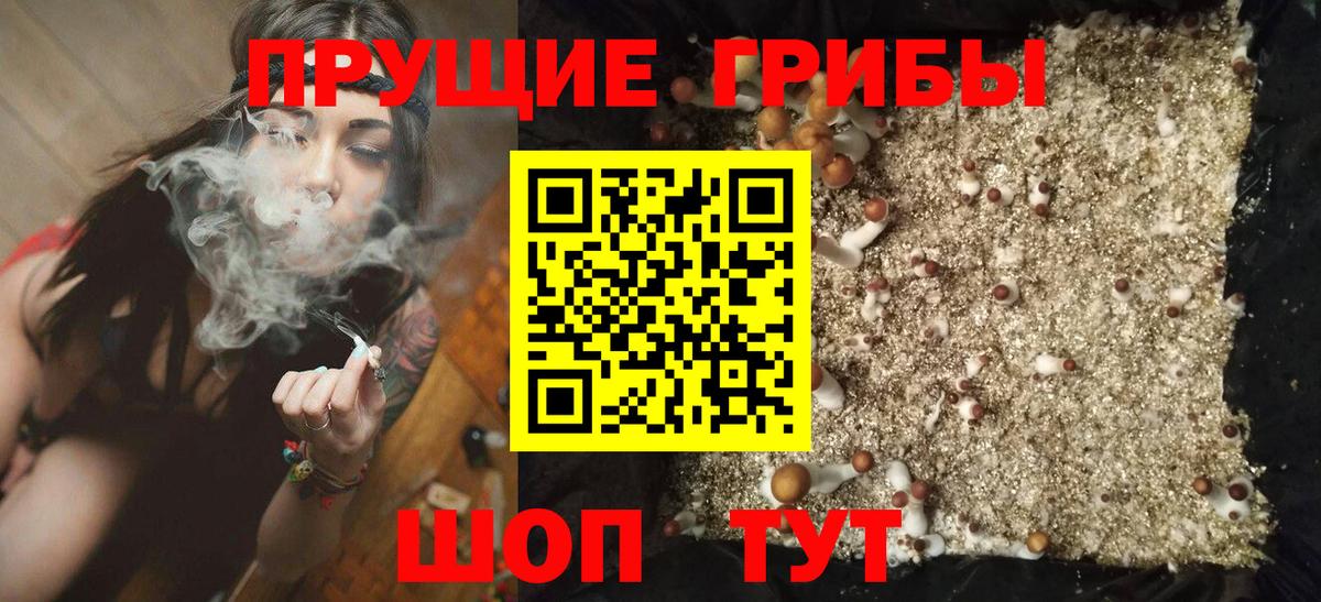 Галлюциногенные грибы Magic Shrooms  цены   Галлюциногенные грибы мицелий  Ижевск  Вход с VPN 